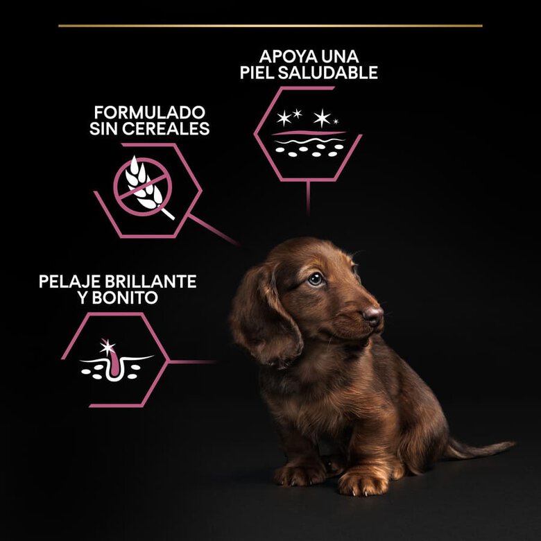 Pro Plan Puppy Small y Mini Salmón pienso para Perros Piel, , large image number null